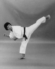 Das Bild Ushiro Geri wird geladen ...