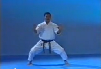 Das Bild "Imura mit Kata Meikyo " wird geladen ...